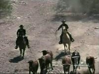 The High Chaparral